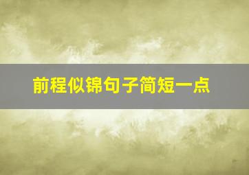 前程似锦句子简短一点