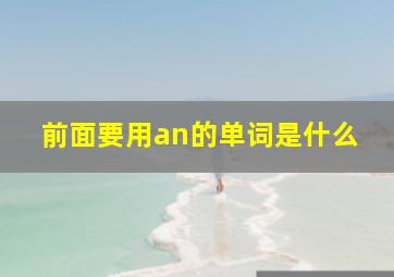 前面要用an的单词是什么