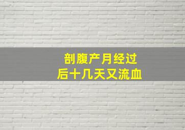 剖腹产月经过后十几天又流血