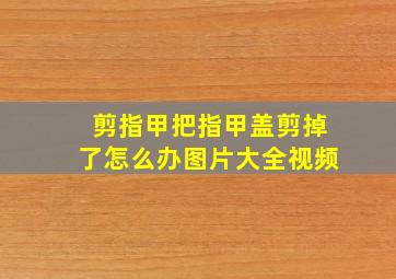 剪指甲把指甲盖剪掉了怎么办图片大全视频