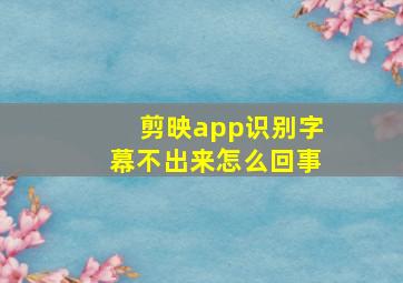 剪映app识别字幕不出来怎么回事