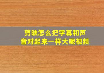 剪映怎么把字幕和声音对起来一样大呢视频