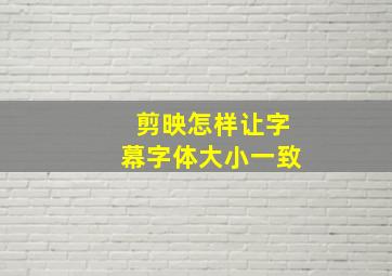 剪映怎样让字幕字体大小一致