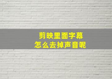 剪映里面字幕怎么去掉声音呢