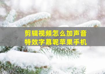 剪辑视频怎么加声音特效字幕呢苹果手机