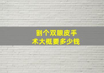 割个双眼皮手术大概要多少钱