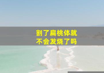 割了扁桃体就不会发烧了吗