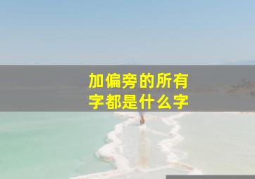 加偏旁的所有字都是什么字