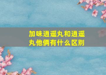 加味逍遥丸和逍遥丸他俩有什么区别