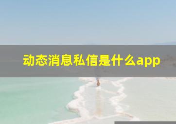 动态消息私信是什么app