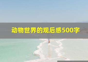 动物世界的观后感500字