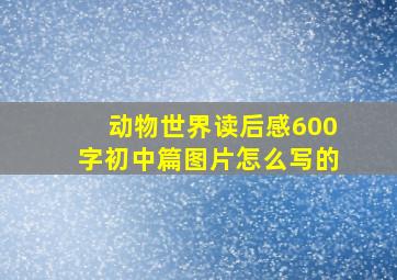 动物世界读后感600字初中篇图片怎么写的