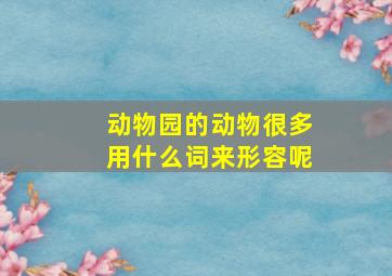 动物园的动物很多用什么词来形容呢