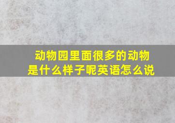 动物园里面很多的动物是什么样子呢英语怎么说