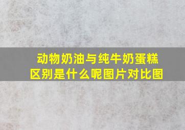 动物奶油与纯牛奶蛋糕区别是什么呢图片对比图