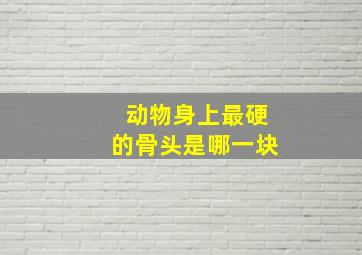 动物身上最硬的骨头是哪一块