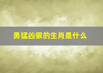 勇猛凶狠的生肖是什么