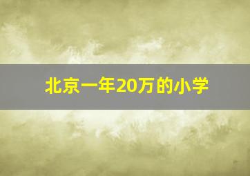 北京一年20万的小学