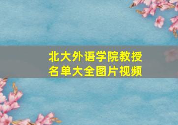 北大外语学院教授名单大全图片视频