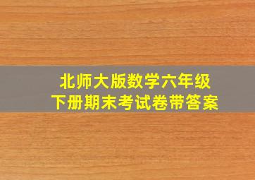 北师大版数学六年级下册期末考试卷带答案