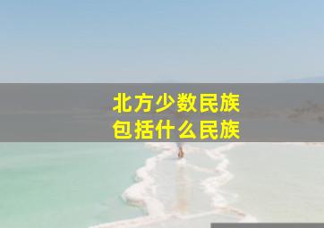 北方少数民族包括什么民族