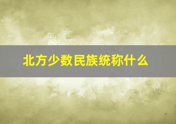 北方少数民族统称什么