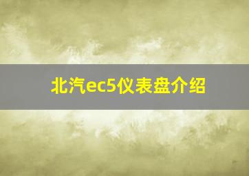 北汽ec5仪表盘介绍