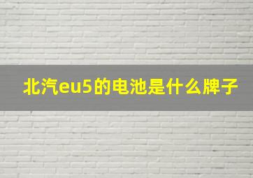 北汽eu5的电池是什么牌子