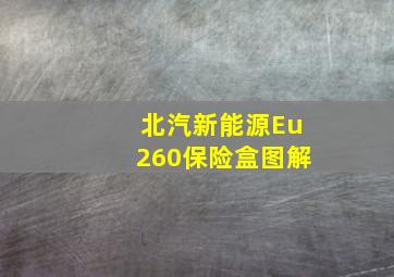 北汽新能源Eu260保险盒图解