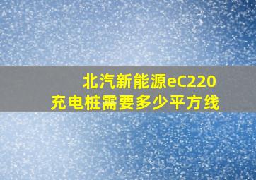 北汽新能源eC220充电桩需要多少平方线