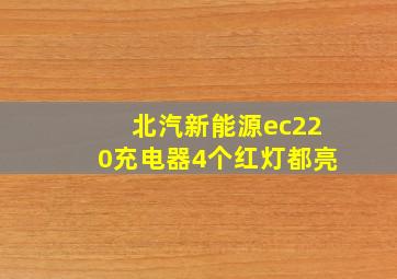 北汽新能源ec220充电器4个红灯都亮