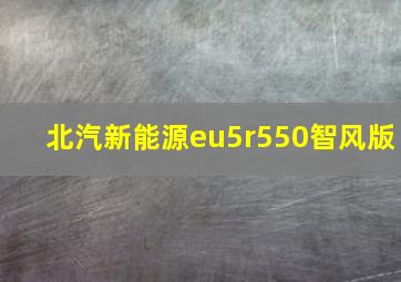 北汽新能源eu5r550智风版