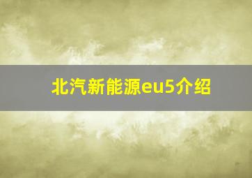 北汽新能源eu5介绍