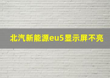 北汽新能源eu5显示屏不亮