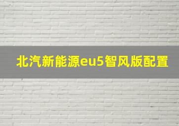 北汽新能源eu5智风版配置