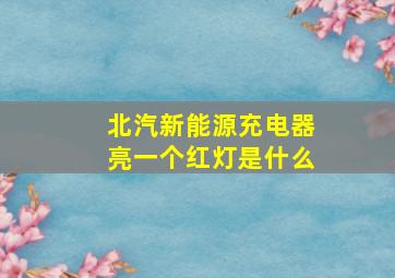 北汽新能源充电器亮一个红灯是什么