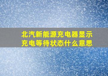 北汽新能源充电器显示充电等待状态什么意思