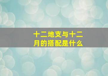 十二地支与十二月的搭配是什么