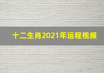 十二生肖2021年运程视频