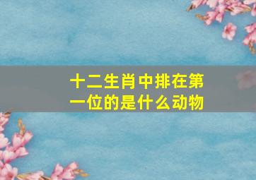 十二生肖中排在第一位的是什么动物