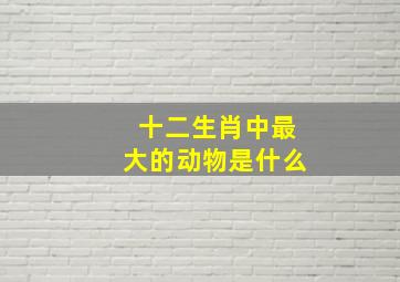 十二生肖中最大的动物是什么