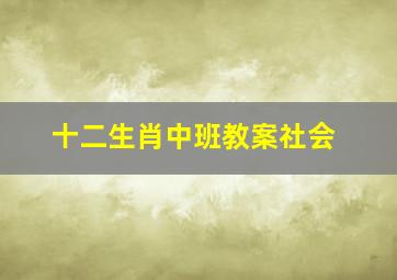 十二生肖中班教案社会