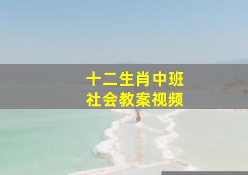 十二生肖中班社会教案视频