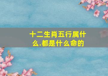 十二生肖五行属什么.都是什么命的