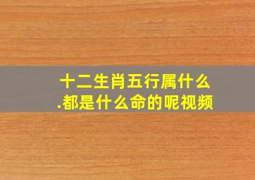 十二生肖五行属什么.都是什么命的呢视频