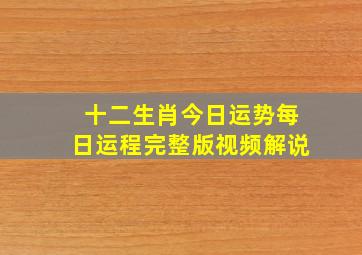 十二生肖今日运势每日运程完整版视频解说