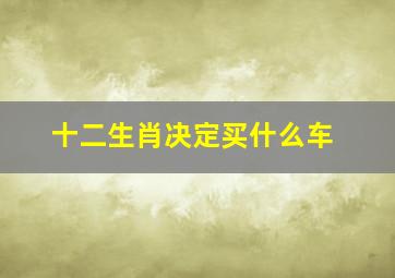 十二生肖决定买什么车