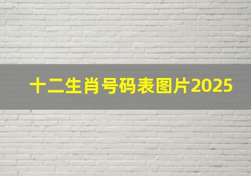 十二生肖号码表图片2025