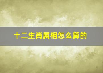 十二生肖属相怎么算的