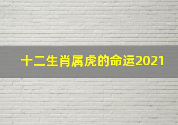 十二生肖属虎的命运2021